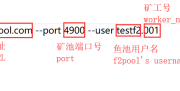 鱼池f2pool BFC（Bitfree Cash）挖矿教程