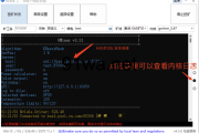 支持KAS/CFX/Alph等主流币种的轻松矿工-内置SSL矿池连接，让你一键开挖